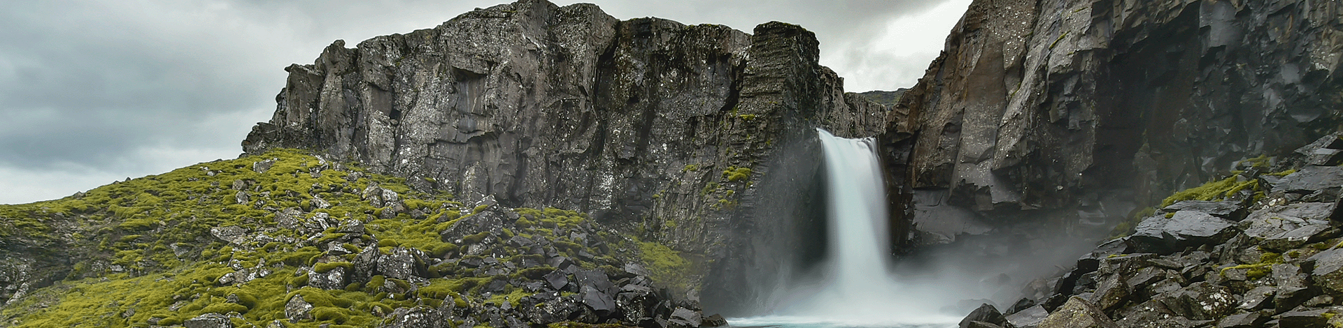 Nýir sjóðfélagar