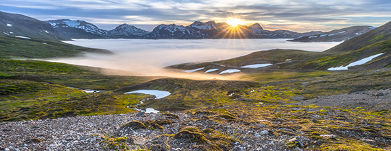 Nýir sjóðfélagar
