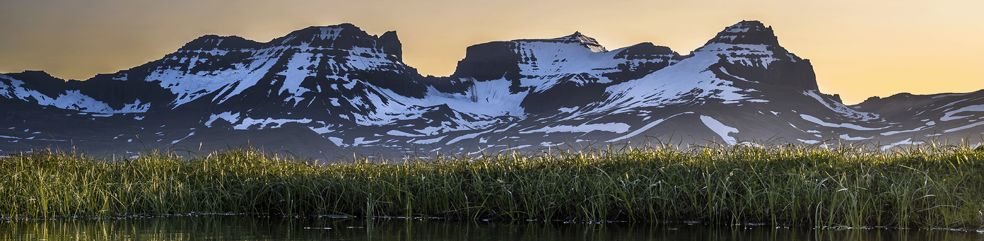 Nýir sjóðfélagar